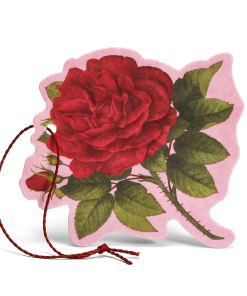 L’Erbolario Purple Rose mirisni cvijet
